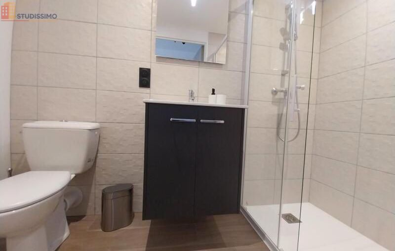 Studio 19m² Orléans 45000 - Meublé, DPE C - Photo 14