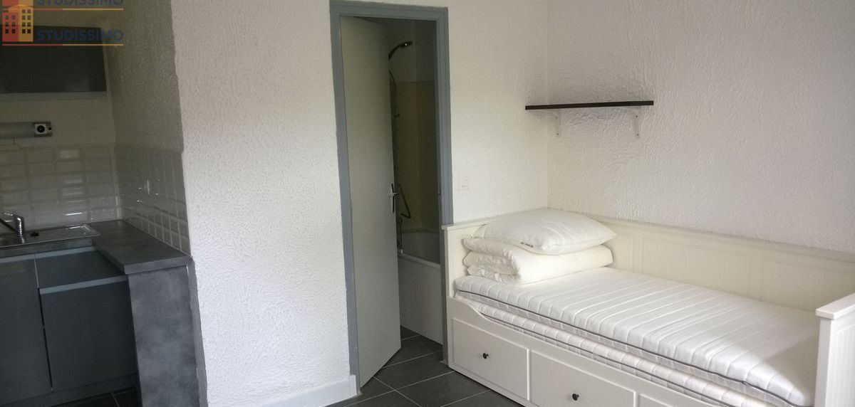 Studio meublé 17m² Nantes centre - Meublé, DPE D - Photo 14
