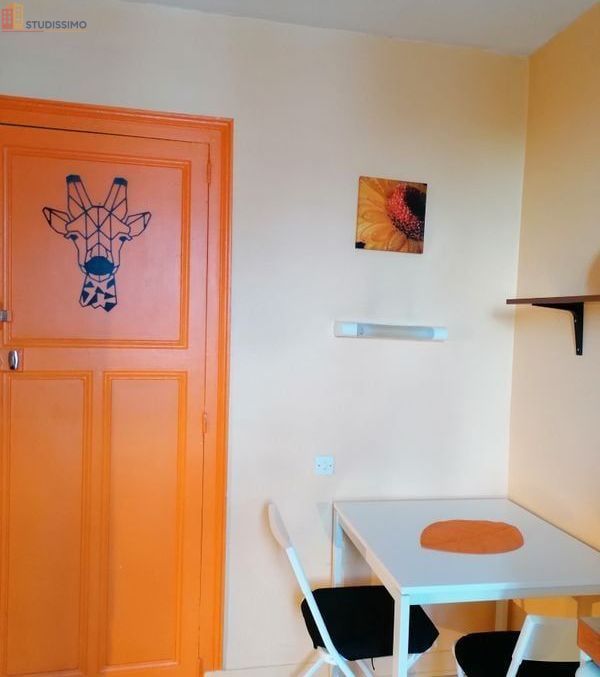 Studio meublé 14m² Nantes 44100 - Meublé, 2e étage - Photo 10