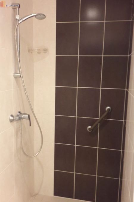 Studio meublé 16m² Saint-Sébastien-sur-Loire - Meublé, 1 pièce - Photo 11