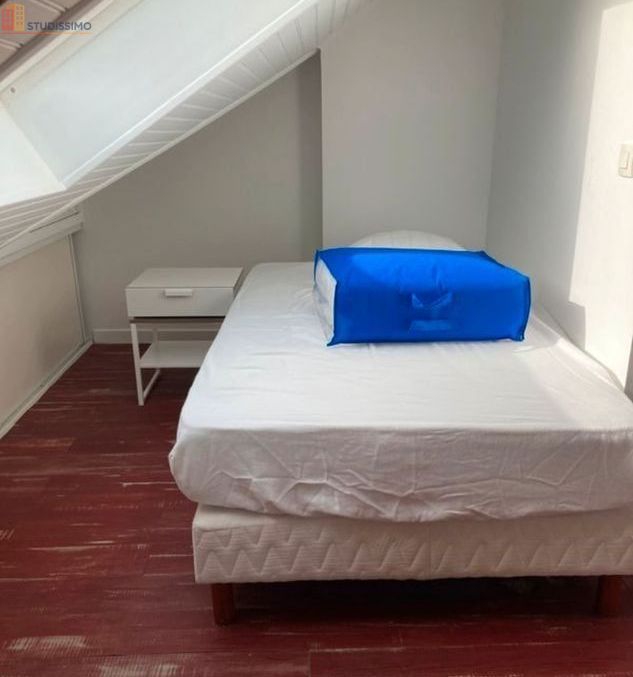 Studio meublé 25m² Nantes Motte-Rouge - Meublé, T1 bis - Photo 3