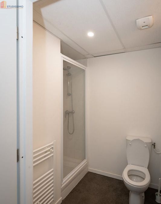 Studio meublé 25m² Nantes Chantenay - Meublé, lumineux - Photo 47