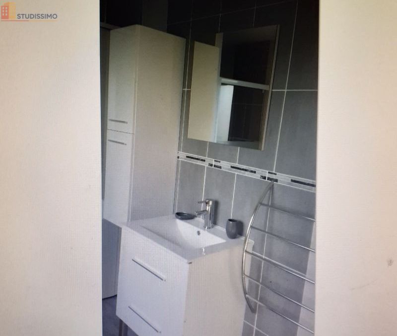 Studio meublé 40m² Dampierre-en-Burly - Meublé, DPE C - Photo 1