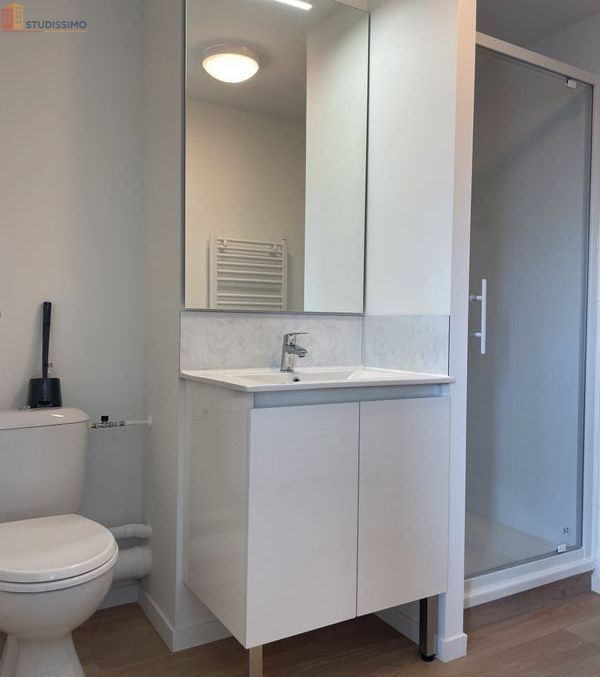 Studio meublé 25m² Nort-sur-Erdre - Meublé, calme - Photo 13