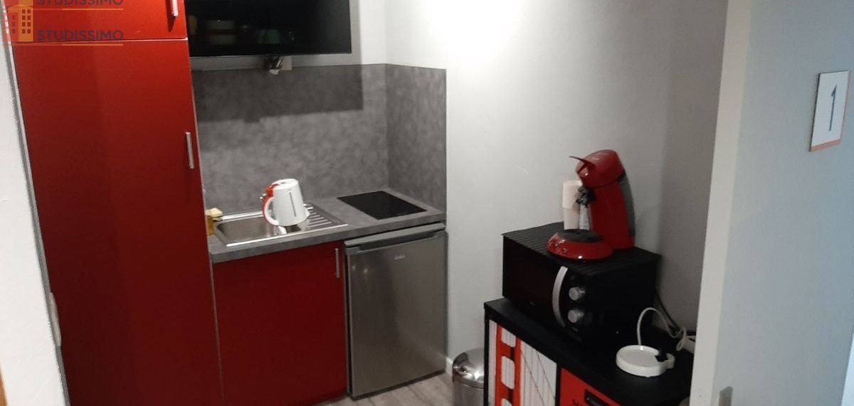 Studio meublé 26m² Châtillon-sur-Loire - Meublé, DPE D - Photo 5