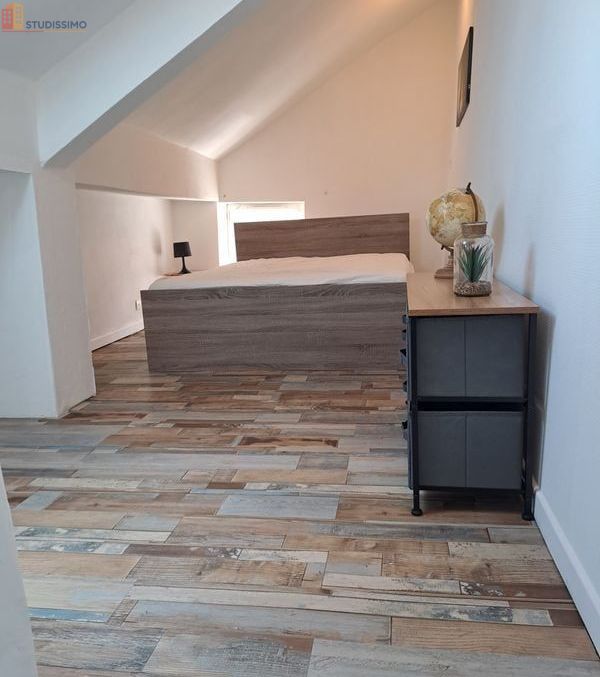 Studio 30m² Châtillon-sur-Loire - Calme - Photo 3