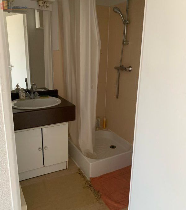 Studio meublé 20m² Orléans - Meublé, lumineux - Photo 1