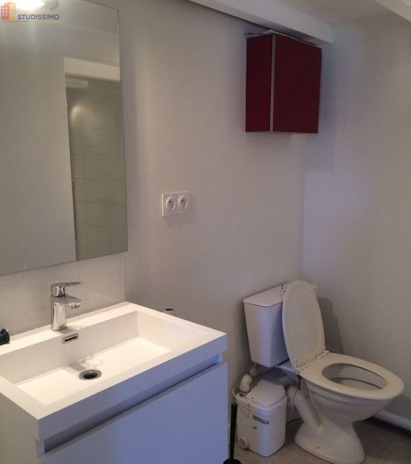 Studio 25m² Nantes centre - Proche Château des Ducs - Photo 2
