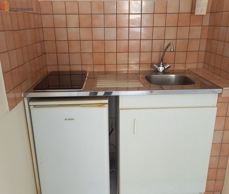 Studio 17m² Courtenay - DPE D - Photo 6