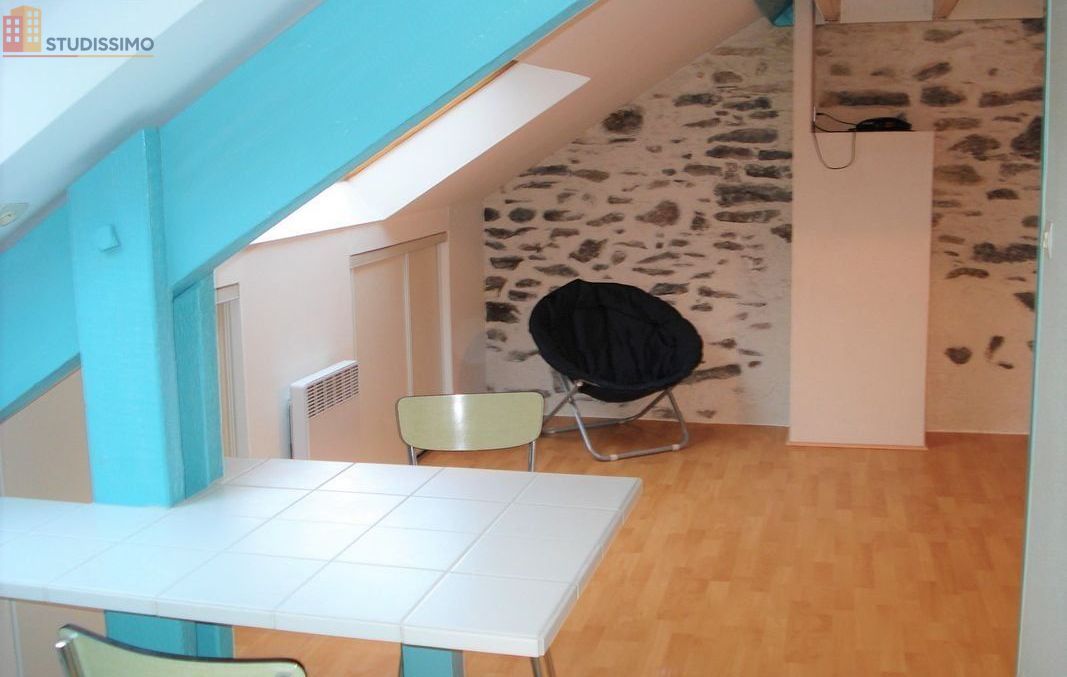 Studio 29m² Nantes Rond-Point Paris - Lumineux, 3e étage - Photo 5