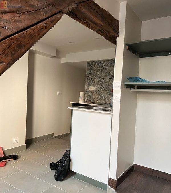 Studio 14m² Orléans 45000 - Photo 1