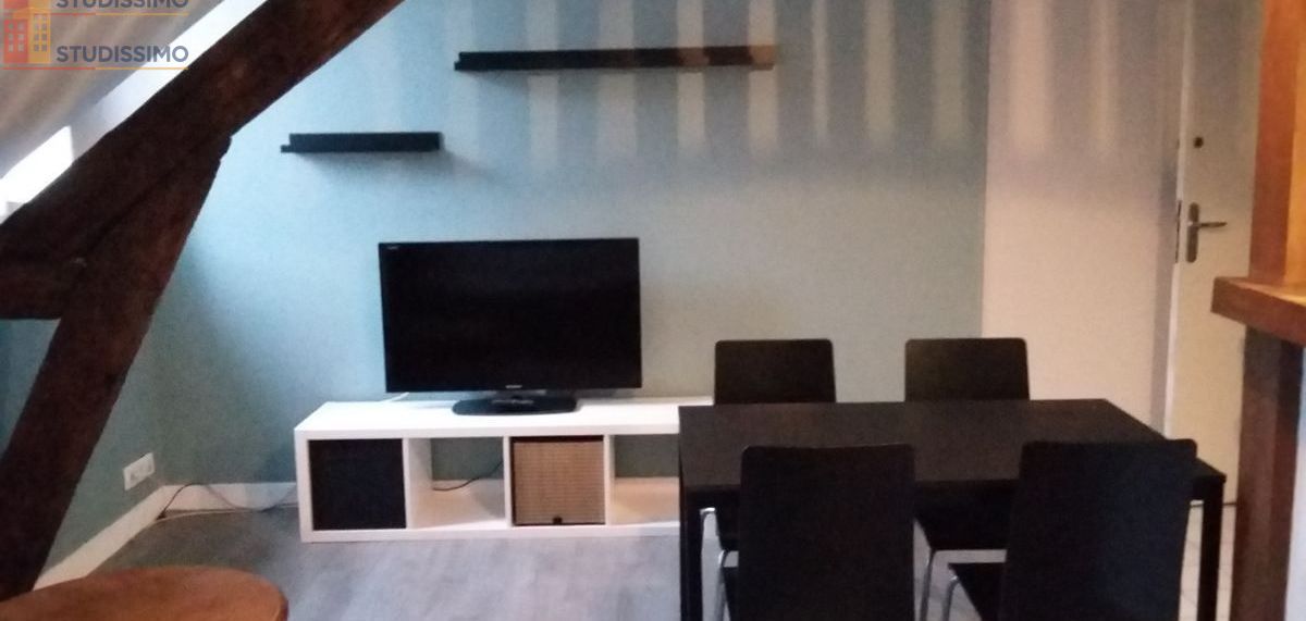 Studio 22m² Nantes centre - Meublé, calme - Photo 21