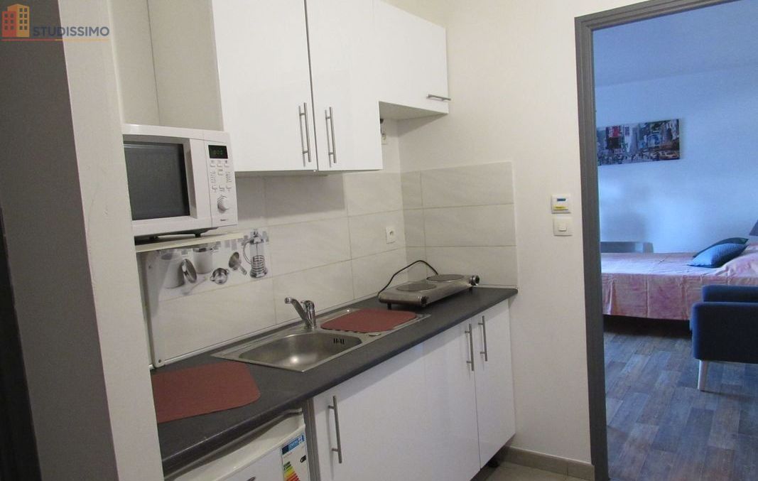Studio meublé 30m² Bonny-sur-Loire - Meublé, DPE C - Photo 8