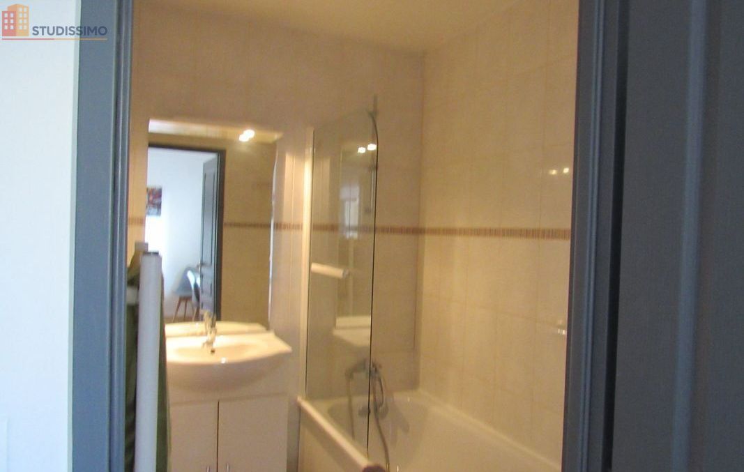 Studio meublé 30m² Bonny-sur-Loire - Meublé, DPE C - Photo 1