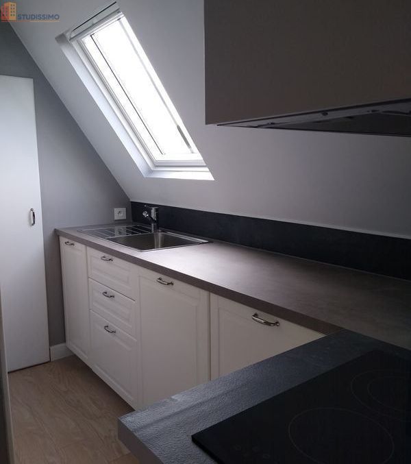 Studio 20m² La Ferté-Saint-Aubin - Calme, sans vis-à-vis - Photo 15