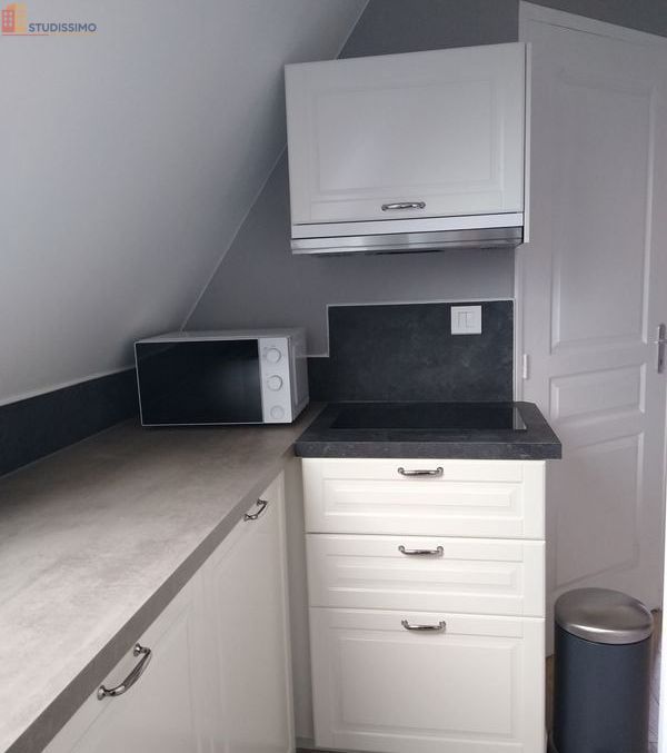 Studio 20m² La Ferté-Saint-Aubin - Calme, sans vis-à-vis - Photo 13