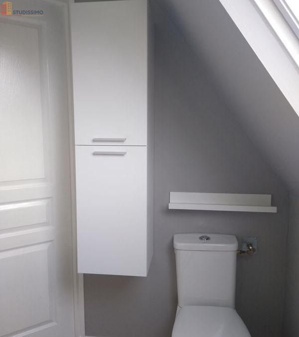 Studio 20m² La Ferté-Saint-Aubin - Calme, sans vis-à-vis - Photo 4