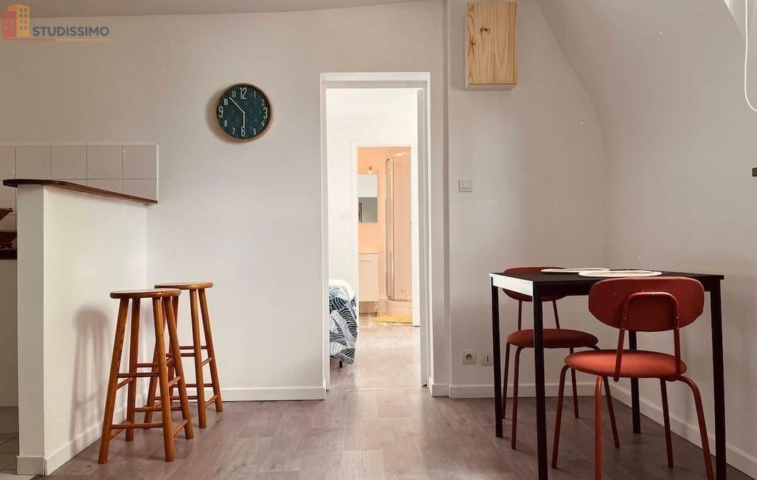 Studio meublé 28m² Nantes 44200 - Meublé, lumineux - Photo 4