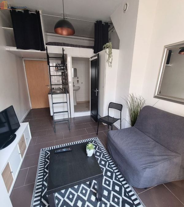 Studio meublé 15m² Orléans - Ensoleillé - Photo 8