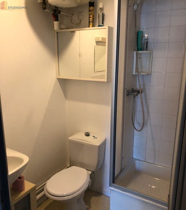 Studio meublé 24m² Nantes 44300 - Lumineux, proche quai - Photo 1