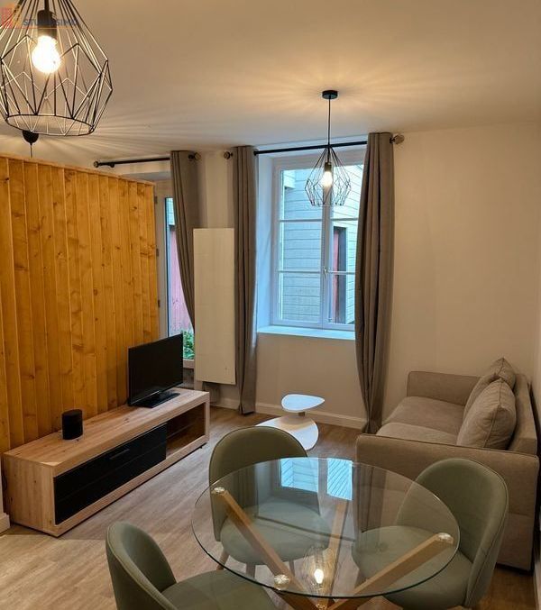 Studio meublé 30m² Orléans centre - Lumineux - Photo 5