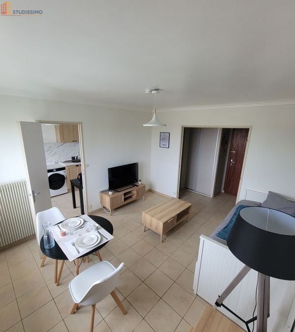 Studio meublé 31m² Fleury-les-Aubrais - Dernier étage, lumineux - Photo 3