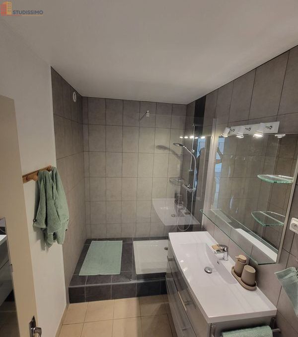 Studio meublé 31m² Fleury-les-Aubrais - Dernier étage, lumineux - Photo 1