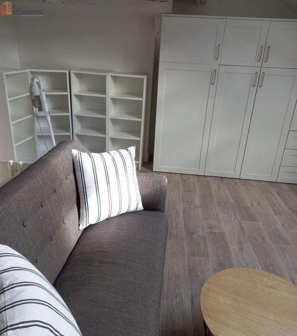 Studio meublé 16m² Orléans - Bord de Loire, lumineux - Photo 16