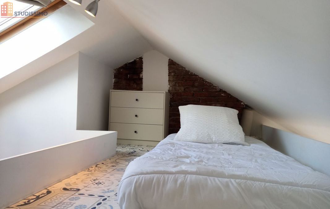 Studio meublé 16m² Orléans - Bord de Loire, lumineux - Photo 12