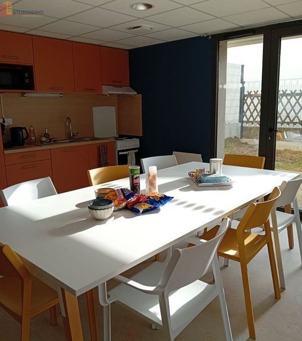 Studio meublé 25m² Pont-Saint-Martin - Meublé, DPE A - Photo 36