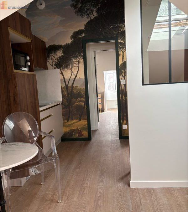 Studio meublé 28m² Nantes centre - Lumineux, cachet - Photo 93