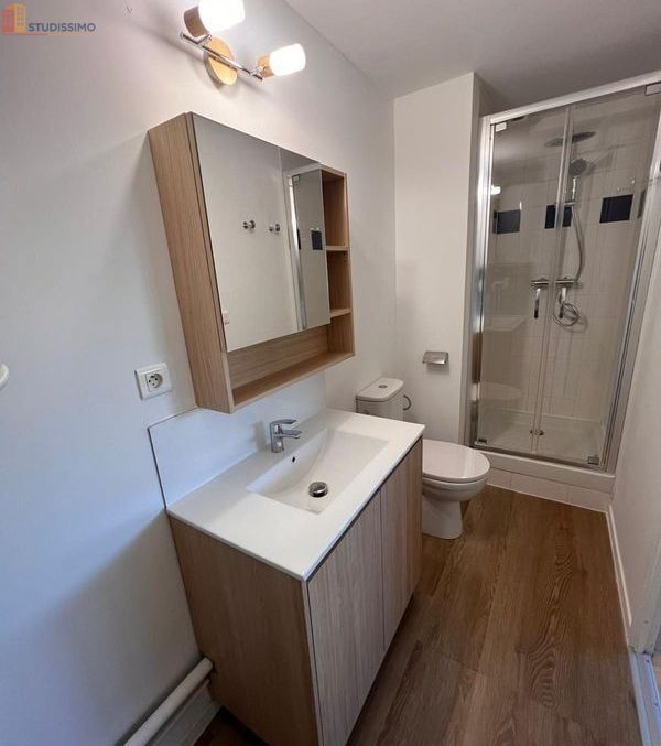 Studio 21m² Nantes 44100 - Refait à neuf, vue ville - Photo 8