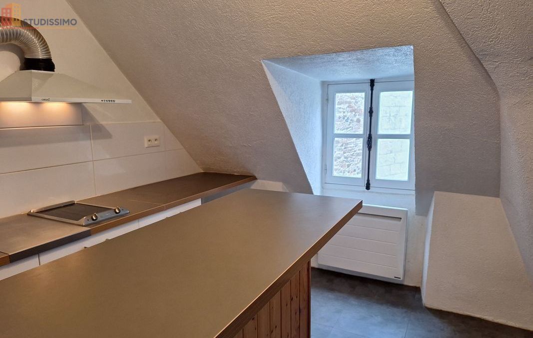 Studio 44m² Nantes centre - Duplex, dernier étage - Photo 19