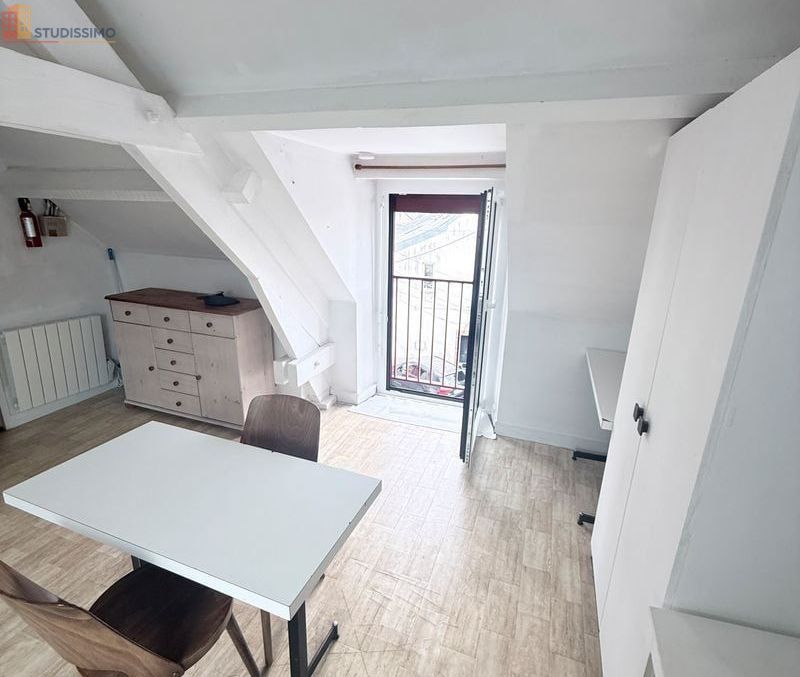 Studio meublé 18m² Nantes 44300 - Dernier étage, parking - Photo 23