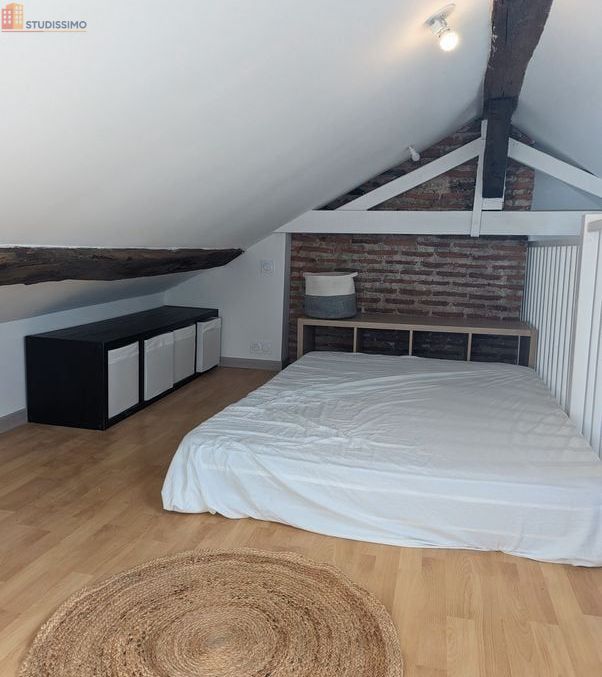 Studio meublé 29m² Nantes centre - Dernier étage, calme - Photo 2