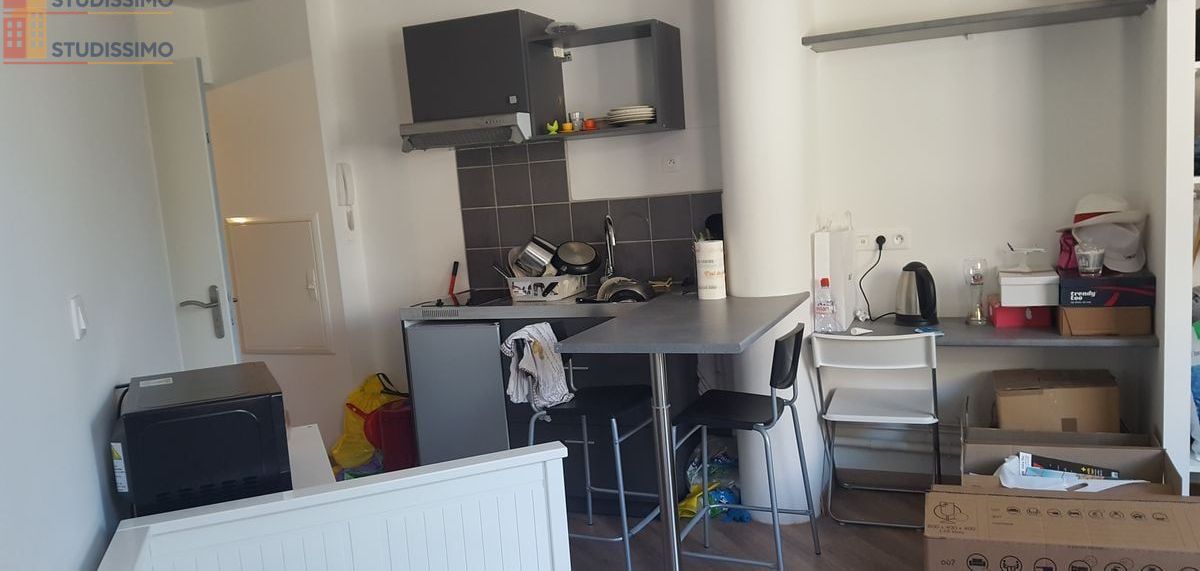 Studio meublé 21m² Nantes Ile de Nantes - Proche écoles, lumineux - Photo 3