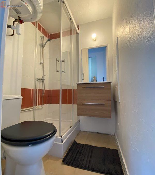 Studio meublé 20m² Angers 49100 - Meublé, quartier Saint-Serge - Photo 4