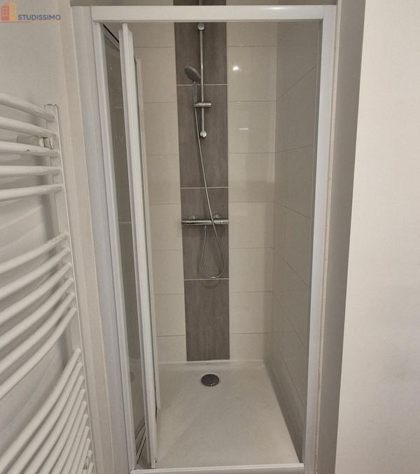 Studio meublé 26m² Angers - Meublé, 1 pièce - Photo 19