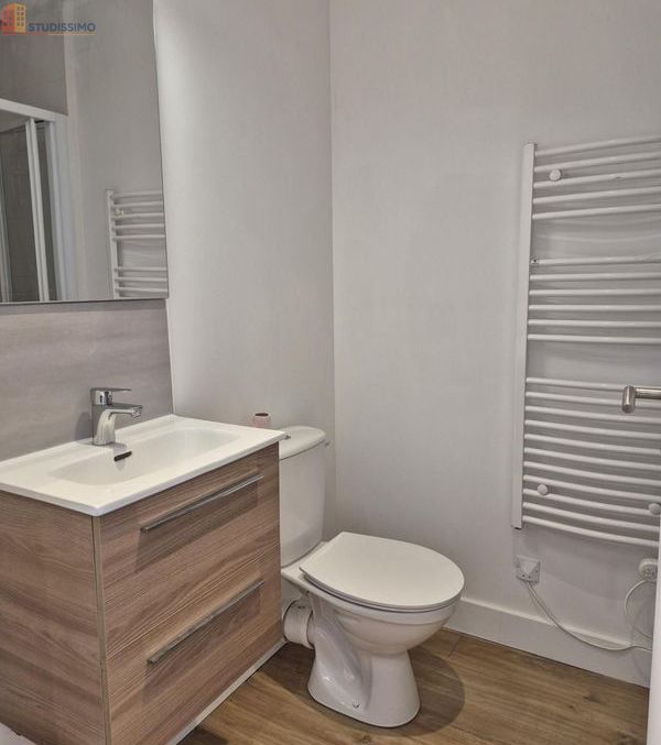 Studio meublé 26m² Angers - Meublé, 1 pièce - Photo 14