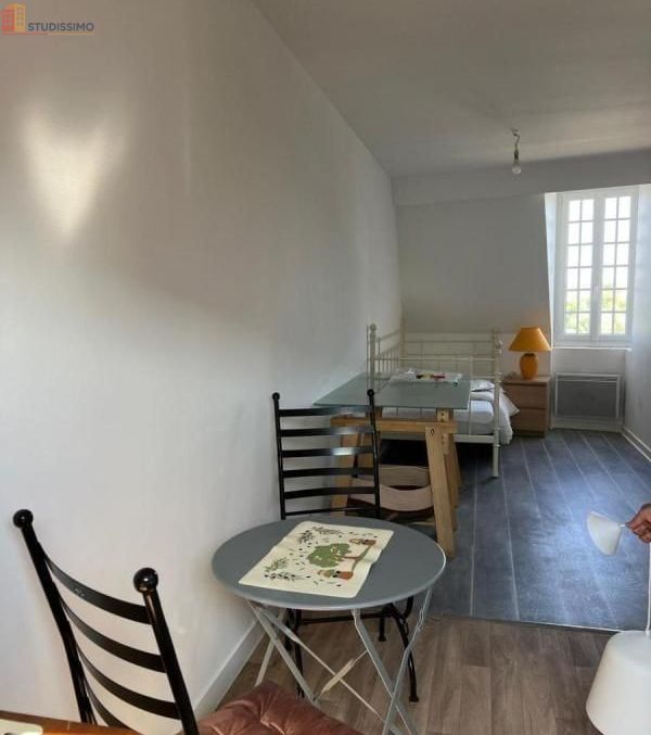 Studio 19m² Angers 49100 - Photo 9