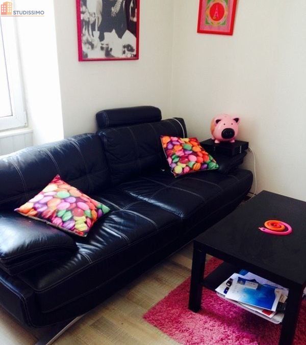 Studio meublé 25m² Nantes Ile de Nantes - Meublé, 3e étage - Photo 6
