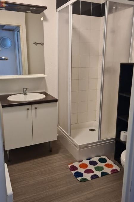 Studio 19m² Nantes 44300 - Meublé, lumineux - Photo 7