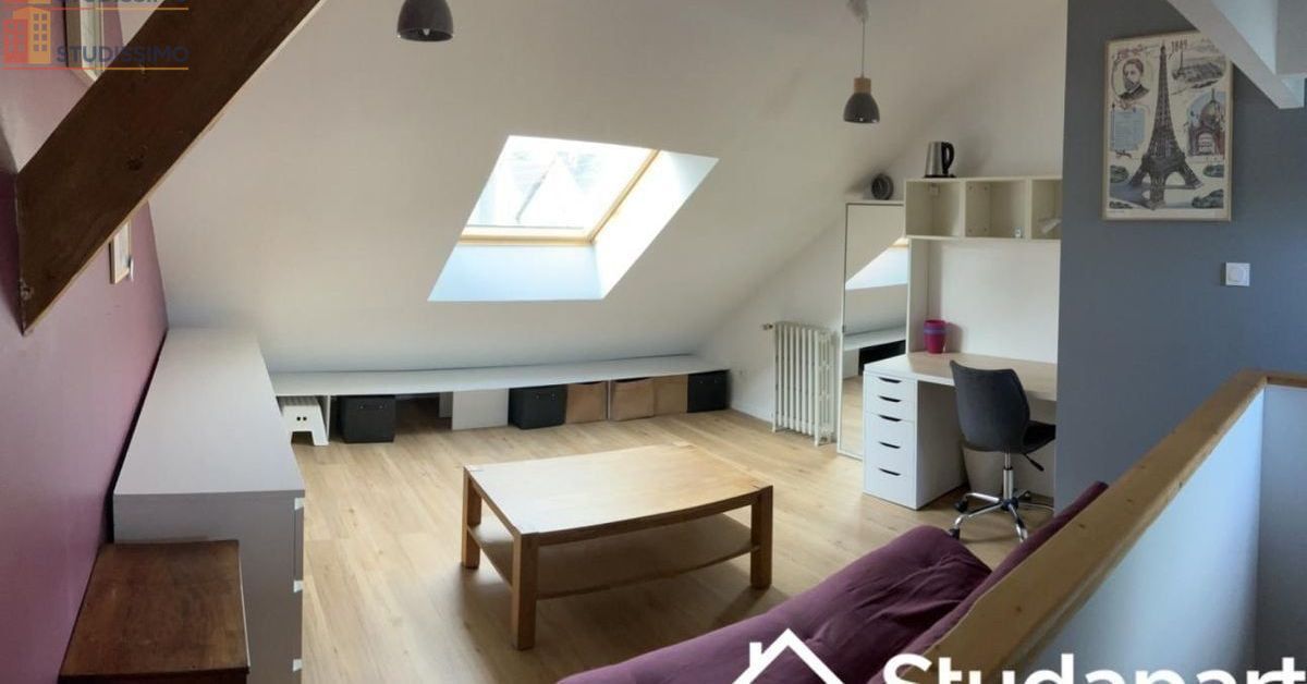 Studio meublé 25m² Angers 49000 - Lumineux, bonne isolation (DPE B) - Photo 4