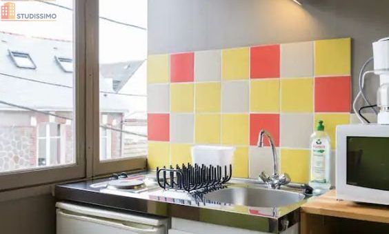 Studio meublé 18m² Nantes 44200 - Meublé, Île de Nantes - Photo 4