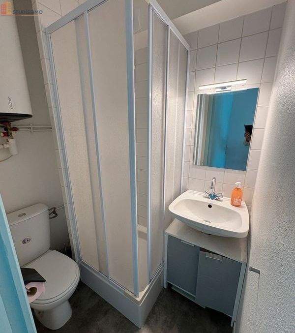 Studio 18m² Nantes centre - Meublé, dernier étage - Photo 8