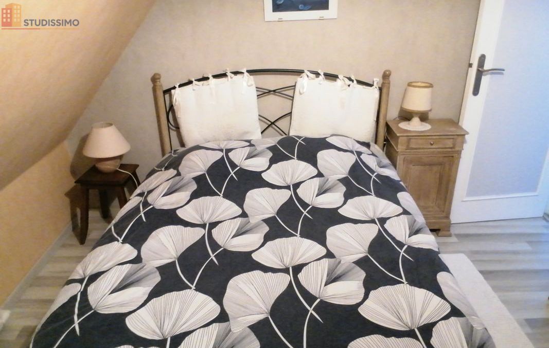 Studio meublé 18m² Sainte-Luce-sur-Loire - Meublé, 18m² - Photo 29
