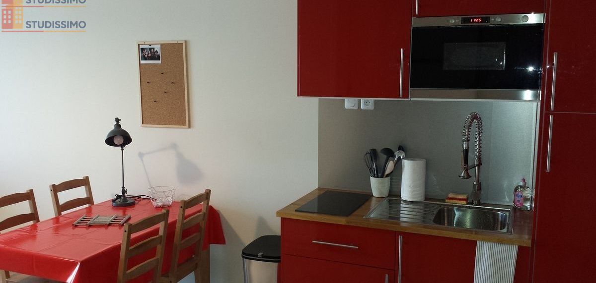 Studio meublé 22m² Angers 49000 - Meublé, DPE A - Photo 9