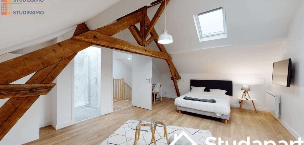 Studio meublé 14m² Nantes 44300 - Meublé, DPE A - Photo 13