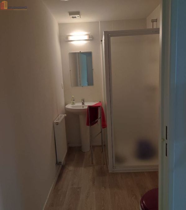 Studio meublé 27m² Nantes centre - Meublé, DPE C - Photo 1
