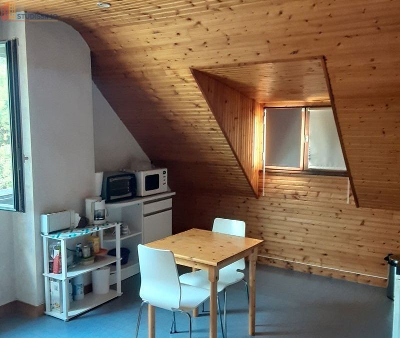 Studio 37m² Saint-Barthélemy-d'Anjou - Meublé, 1er étage - Photo 1